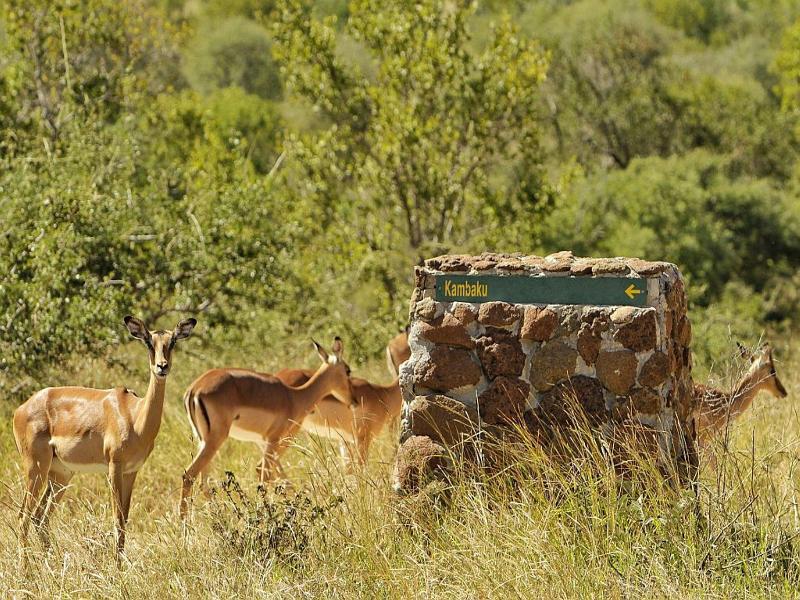 Kambaku Lodge Ходспруит Екстериор снимка